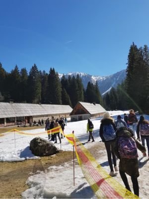 Shimla Educational Package